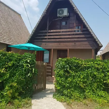 Casutele Intim コスティネシュティ